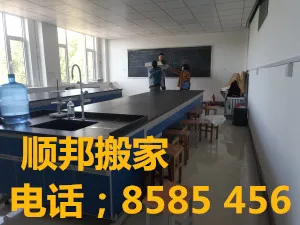 聊城大学搬家现场.webp