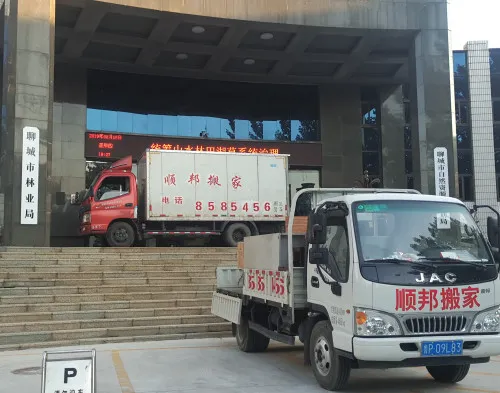 聊城单位搬迁.webp