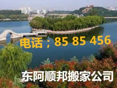 东阿搬家公司.webp