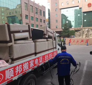 聊城检查院搬家现场.webp