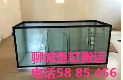 搬运鱼缸.webp