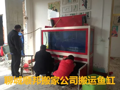 聊城搬家公司鱼缸搬运.webp