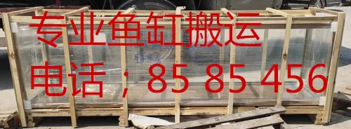 聊城专业鱼缸搬运.webp