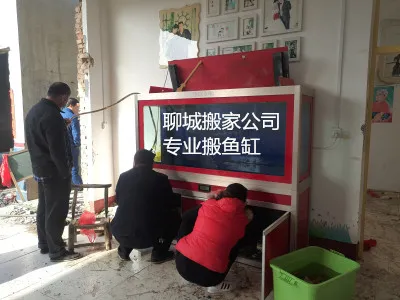 聊城顺邦搬家专业承接大小鱼缸.webp