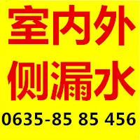 聊城侧漏水.webp