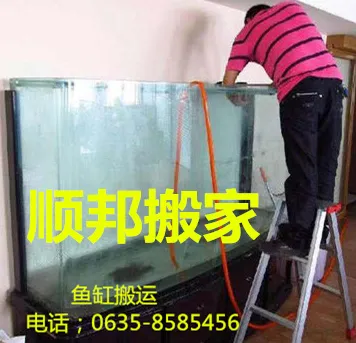 鱼缸搬运.webp