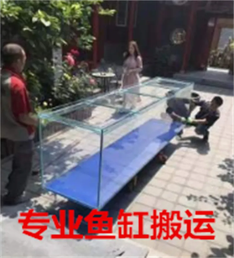 专业鱼缸搬运.webp