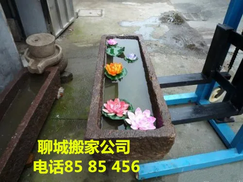 东阿附近搬家公司.webp