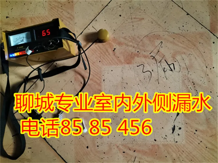 聊城专业室内外则漏水.webp