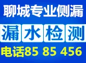 聊城侧漏.webp