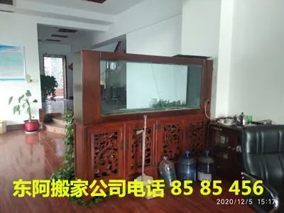 东阿搬家公司鱼缸搬运.webp