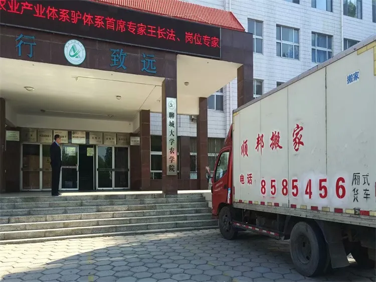 聊城大学农学院搬迁.webp