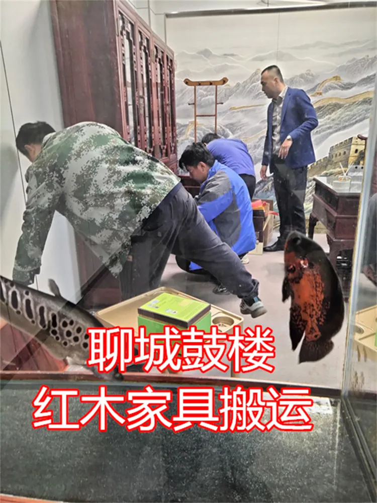 聊城东昌府区东关街公司红木家具搬运.webp