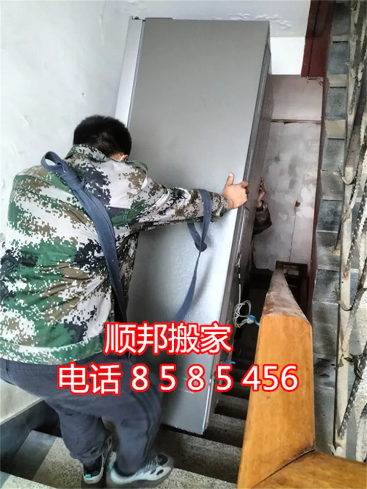 茌平搬家公司冰箱搬运.webp