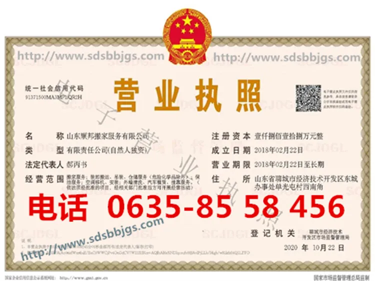 聊城设备搬运公司.webp