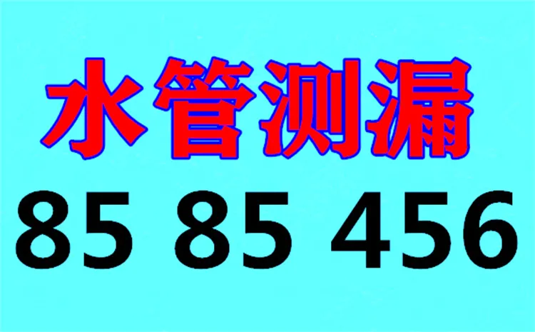 水管测漏.webp