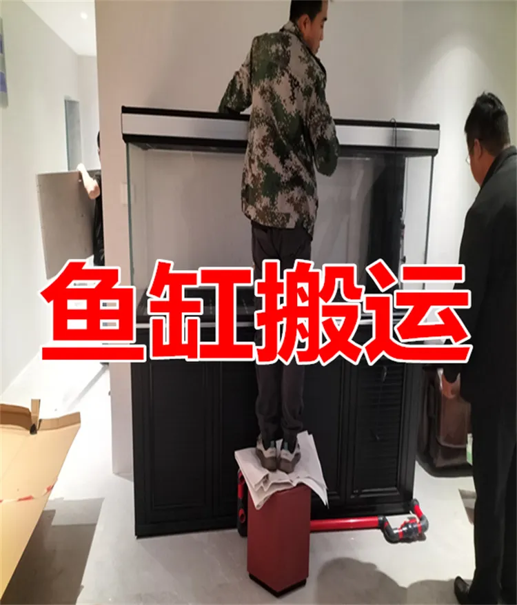 鱼缸搬运电话.webp