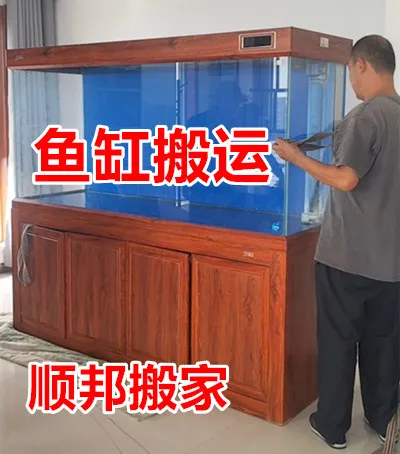 鱼缸搬运.webp
