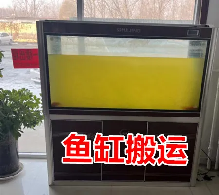 鱼缸搬运.webp
