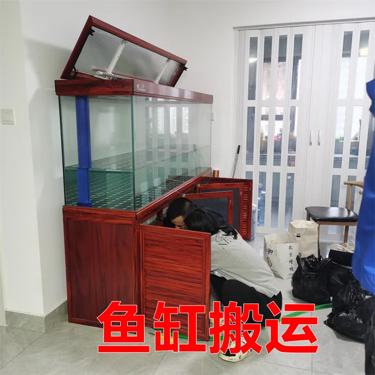 聊城鱼缸搬运.webp