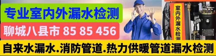 f875311ddf0ca3bc6876561365f03ee4.webp