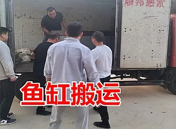 聊城开发区泰山路鱼缸搬运