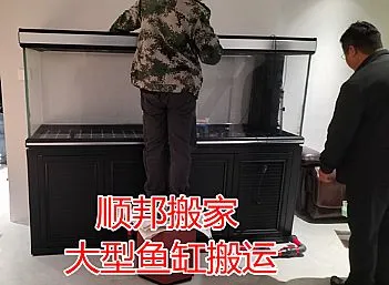 聊城搬家东昌府区鼓楼公司大型鱼缸搬运