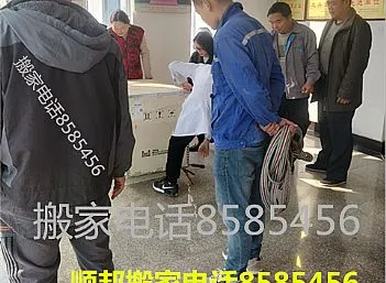 聊城乖宝宠物食品集团设备搬运