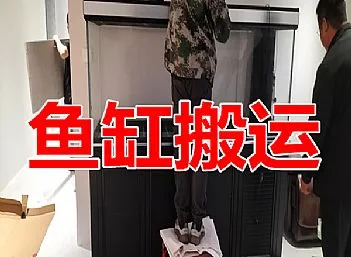聊城东昌府滨河花园鱼缸搬运