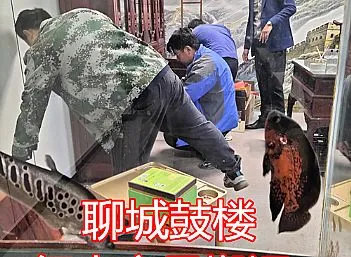 聊城东昌府区东关街公司红木家具搬运
